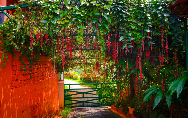 Deva Maani Coorg Nature Holiday