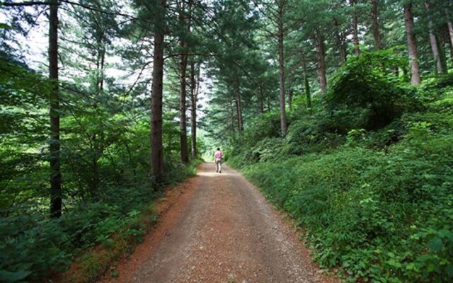 Gapyeong Starlight Maru Pension