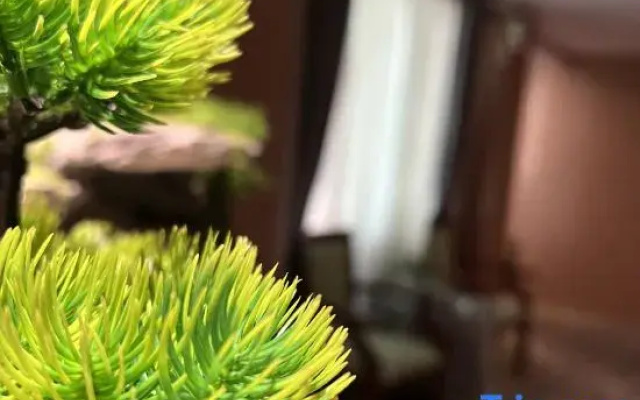 Xingshiguang Hotel (Dongguan Hengli Branch)