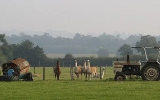 Darling Buds Farm Shepherds Hut