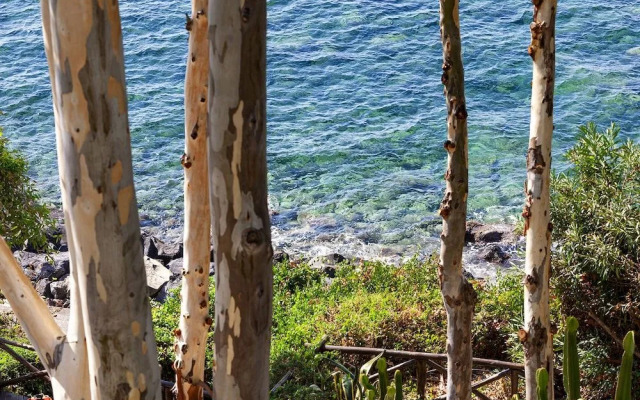 Villa Ofelia in Massa Lubrense