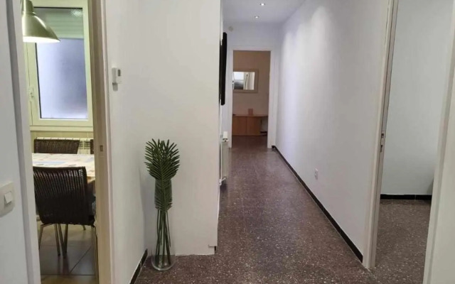 Roses Casc Antic Sant Elm 4