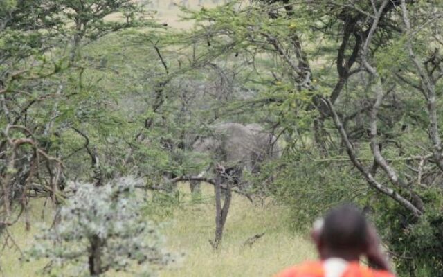 Naboisho Camp
