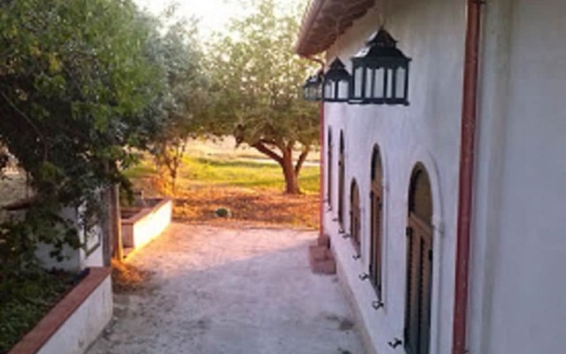 The beauty of nature