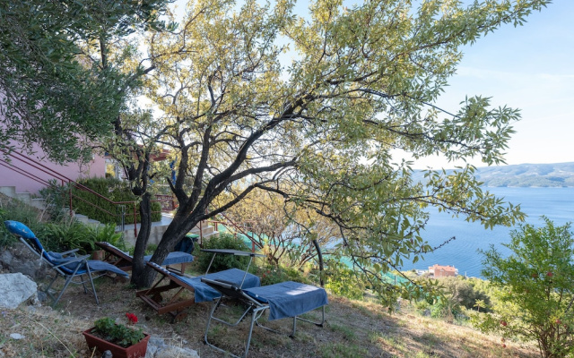 House Panorama