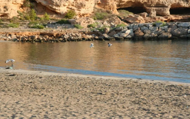 Maisonnette petit jardin barbecue Calafat Tridente 2