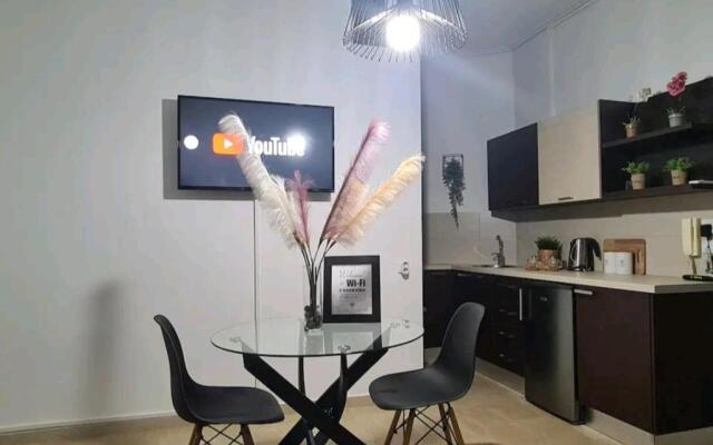 Apartment in the heart of the city 3A
