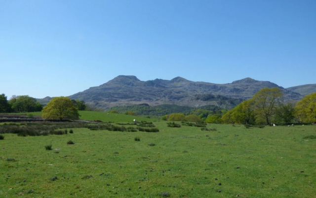 Hen Aelwyd yr Urdd