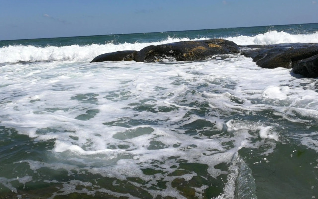 Emerald Beach Resort & Spa,studio ikat310