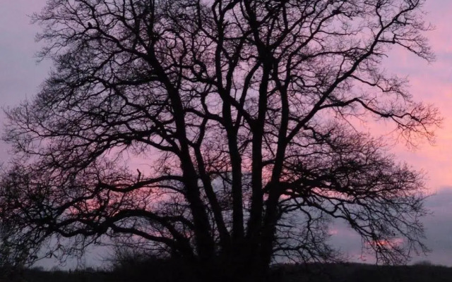 Whidlecombe Farm