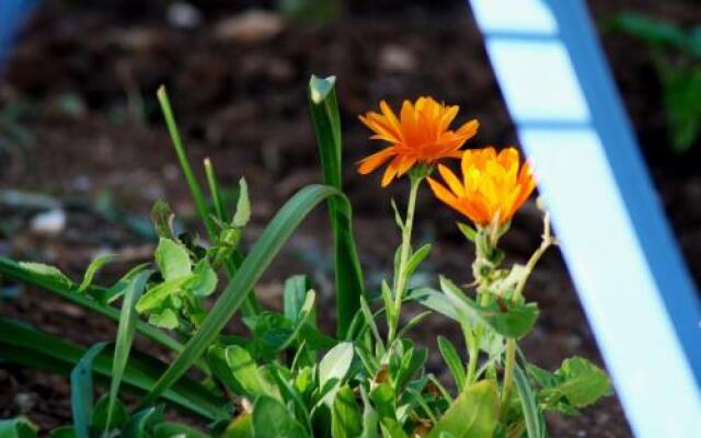 Rustic Holiday Home Miketa