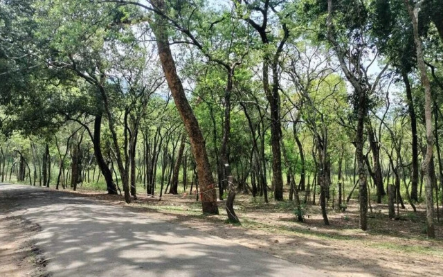 Green Mount Residency