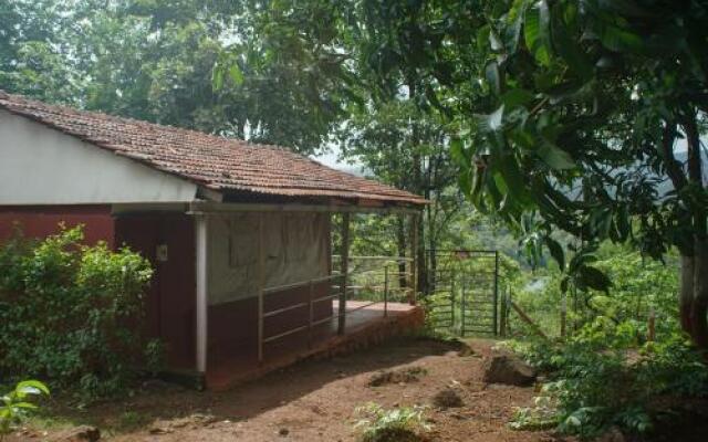 Nature Trails Kundalika, Kolad