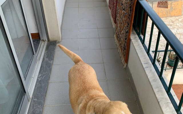 Joes House Homestay