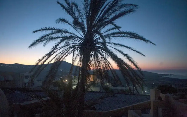 The Palm Tree Residence