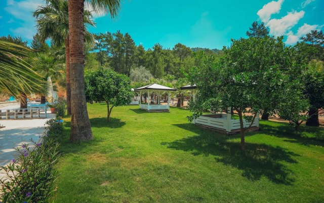 Nature Village Olympos