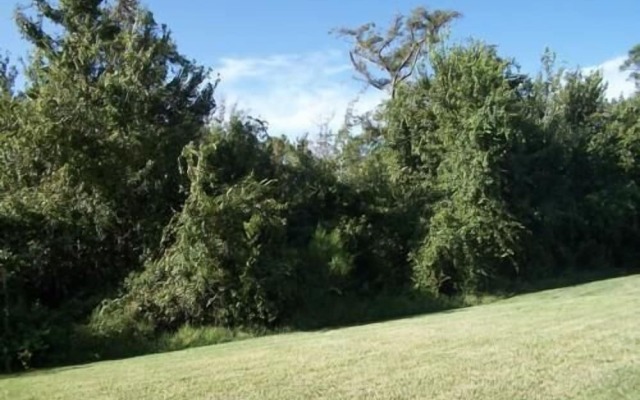 157 Sandy Ridge House 5 Bedroom by Florida Star