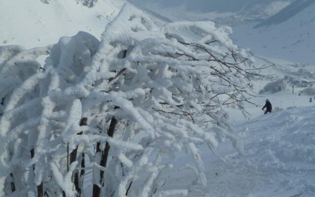 Frühstückspension & Ferienhaus Fädnerspitze