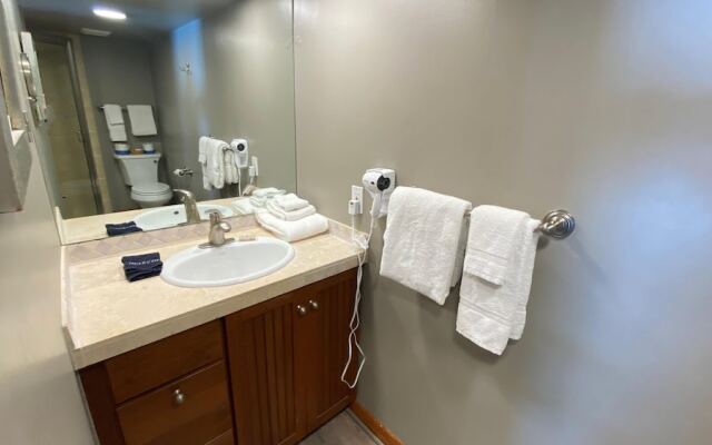 #303 Vail International