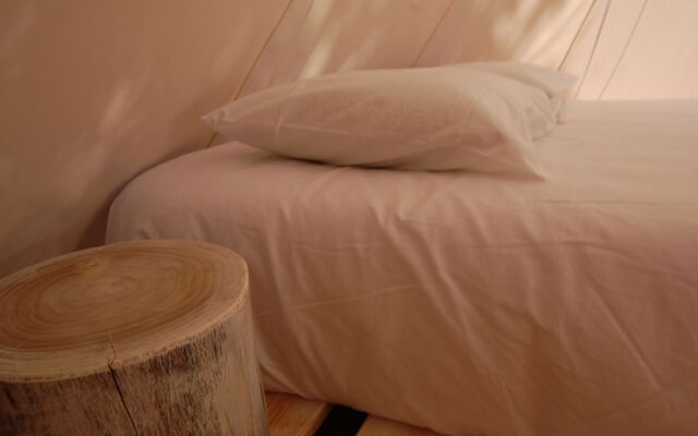 Nature inn Madeira - Glamping