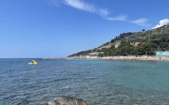 Le Margherite (SLR264)