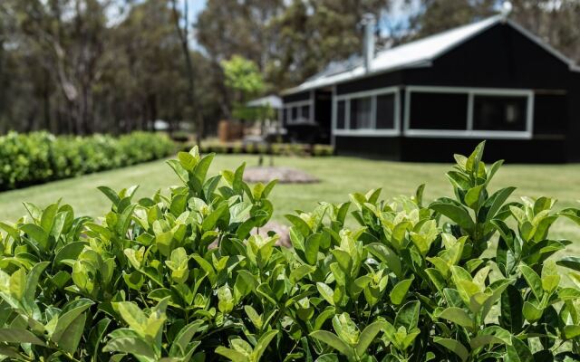 The Woods At Pokolbin