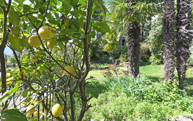 Peace Over the Lake Room 1