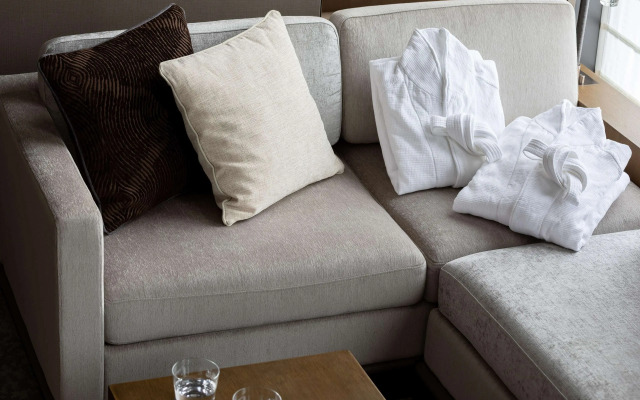 Hotel The Celestine Ginza