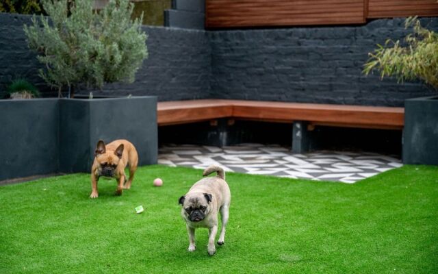Doghouse Margate