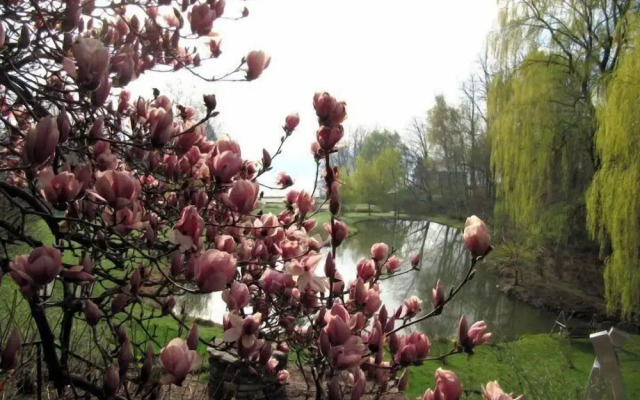 Buttermilk Falls Inn