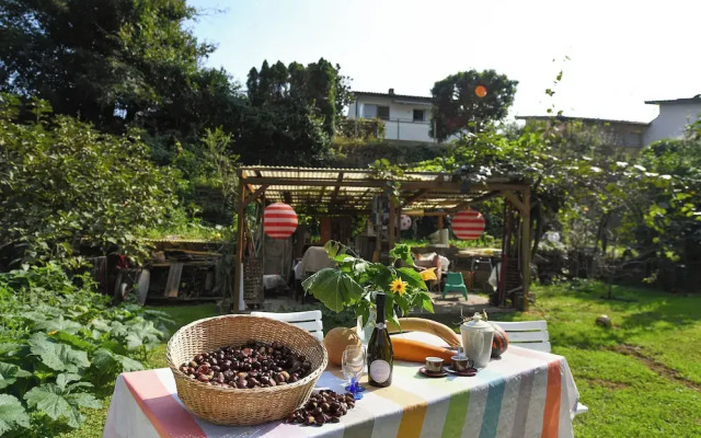 Petit Jardin