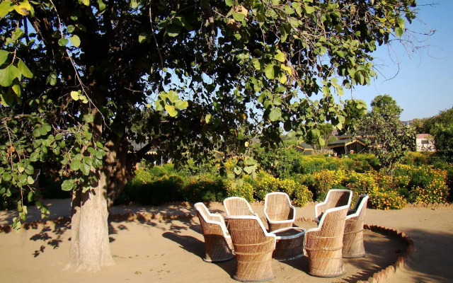 Orchard
