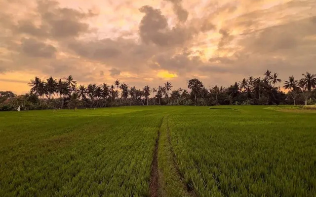 Sierra Vista 1 Ubud