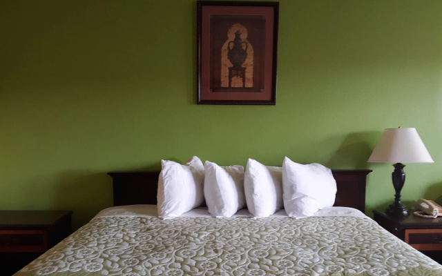 OYO Hotel Williamston