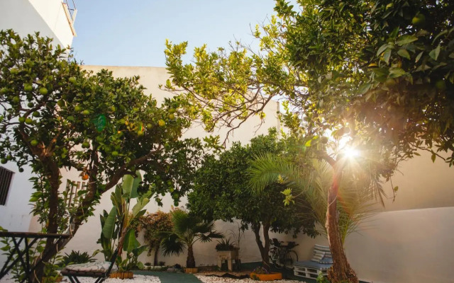 Orange 3 Hostel