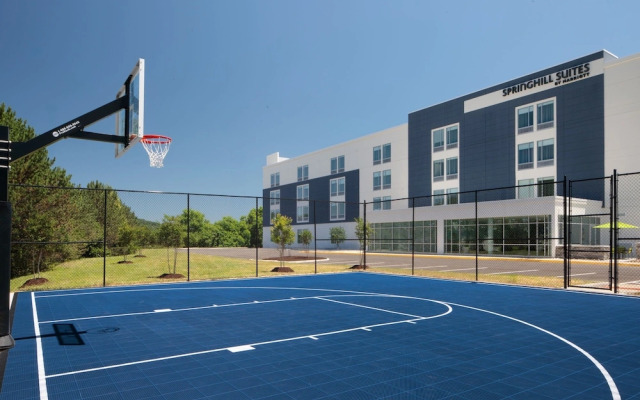 Springhill Suites By Marriott Roanoke North