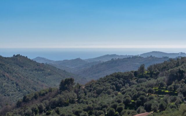 Apartment Verde Vasia