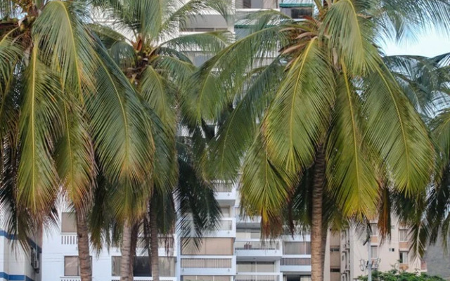Apartamento frente al Mar by Vivetu