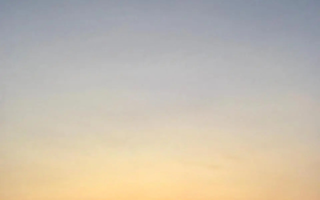 Venetico Il Gatto E La Volpe 2