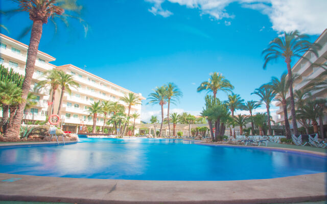 tent Calvia Beach