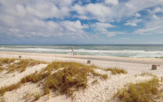 Surfside 5 By BlueSwell