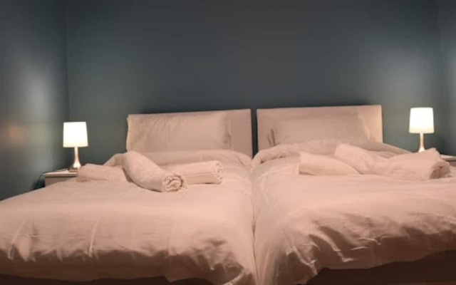 12 Guests 5-bedroom House in Central Birmingham