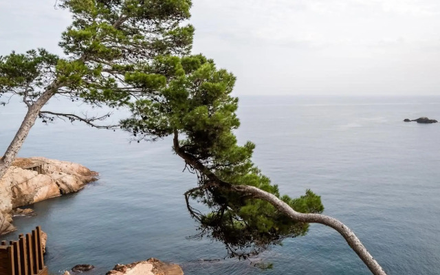 Apartaments Cap Sa Sal