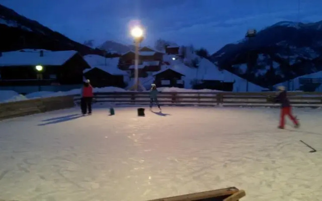 Marmotta di Montagne