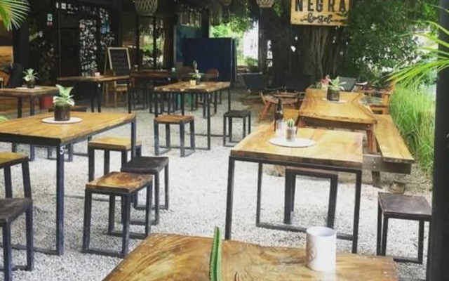 La Oveja Negra Tamarindo Hostel and Surf Camp - Adults Only
