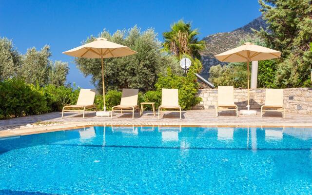 Villa Dimitrios Large Private Pool Sea Views Wifi Eco-friendly - 1974