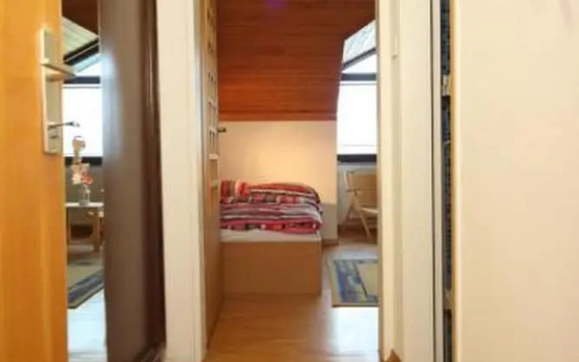 Apartment Viki