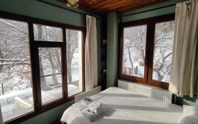 Torrhebia Dag Evi