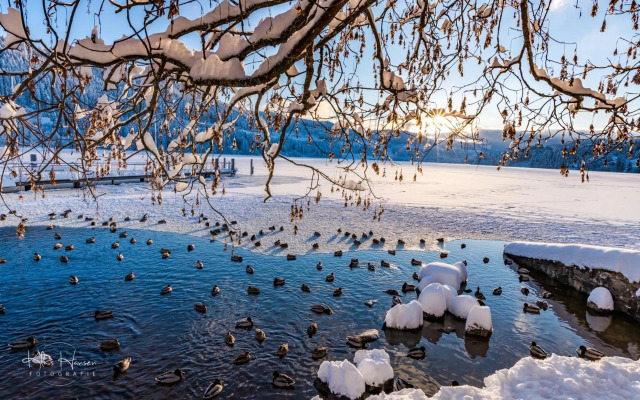 Schwarzwaldhaus Krebs - Villa Kunterbunt, Lenzkirch, Feldberg
