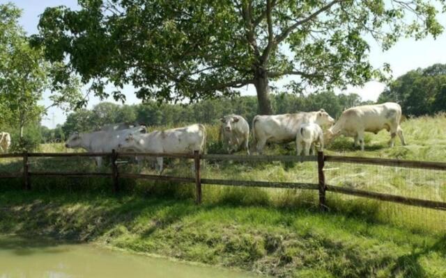 Gîte Pervenchères, 4 pièces, 6 personnes - FR-1-497-49